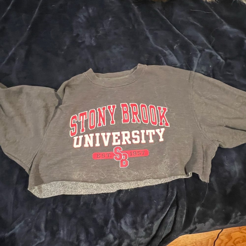 Cropped jansport hoodie